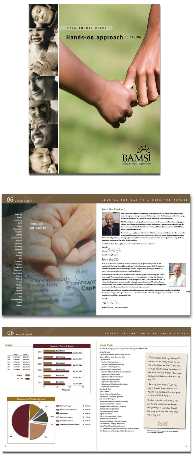 BAMSI Report